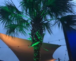 Create an inviting ambiance with professionally installed LED outdoor lighting by Murphy Outdoor Lighting. Brighten commercial spaces with stylish, energy-efficient colorful LED lighting fixtures.