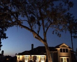 Moonlit residential Bluffton scene with strategic outdoor lighting highlighting the property’s architecture and large oak tree. Elegant backyard landscape lighting system showcasing a beautiful Bluffton home with outdoor LED fixtures.