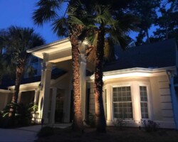 Beautifully illuminated Hilton Head home with strategic outdoor lighting accentuating architecture and trees at night. Outdoor landscape lighting highlighting palm trees and house features at dusk on this Hilton Head property.
