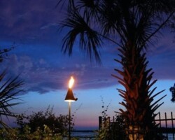 Beautiful outdoor scene featuring palm trees and torch lighting during twilight for a cozy garden atmosphere on a waterfront property in Bluffton. Outdoor tropical palm with torch lighting at dusk, enhancing garden ambiance along the May River in Bluffton, SC.