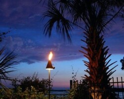 Beautiful outdoor scene featuring palm trees and torch lighting during twilight for a cozy garden atmosphere on a waterfront property in Bluffton. Outdoor tropical palm with torch lighting at dusk, enhancing garden ambiance along the May River in Bluffton, SC.