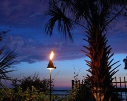 Beautiful outdoor scene featuring palm trees and torch lighting during twilight for a cozy garden atmosphere on a waterfront property in Bluffton. Outdoor tropical palm with torch lighting at dusk, enhancing garden ambiance along the May River in Bluffton, SC.